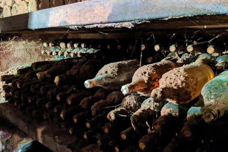 Contemplando garrafas de vinho antigas