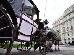 Carroça de cavalos Fiaker
